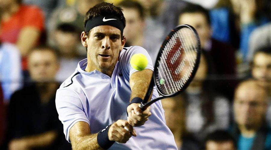 Juan Martiacuten del Potro vencioacute a Robin Hasse y se acerca a Londres