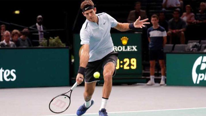 Del Potro cayoacute ante Isner y no entra al Masters de Londres