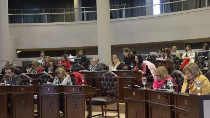 Impulsan en Santiago una ley que castiga los actos de crueldad contra animales