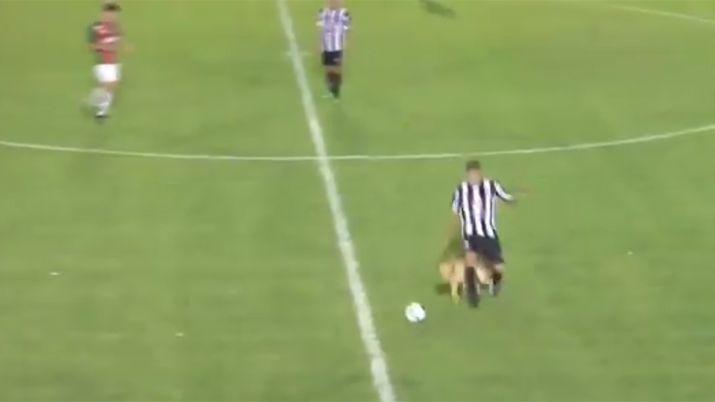 VIDEO  iexclAmarilla referiacute- un perro derriboacute a Marcos Saacutenchez