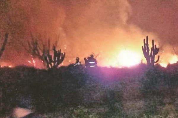 Voraz incendio puso en riesgo a los animales y a vecinos de Chilca La Loma
