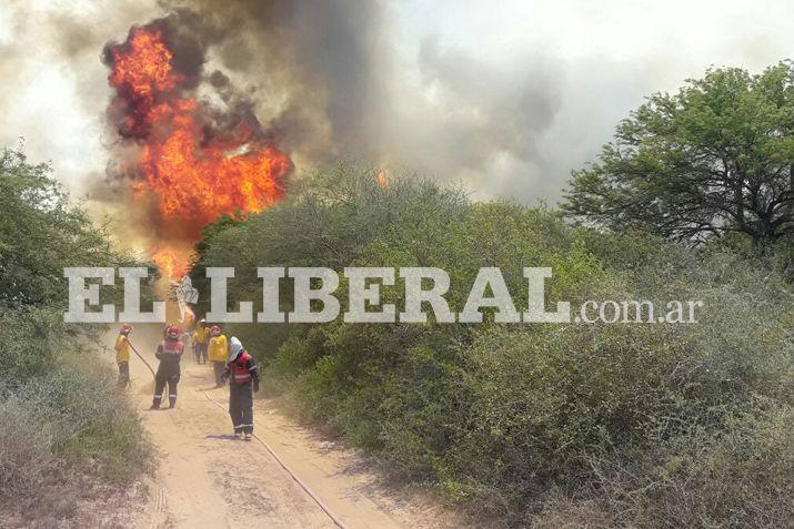 Personal del Cuerpo de Bomberos Voluntarios de Loreto trabaja intensamente