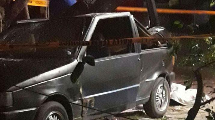 Un hombre murioacute aplastado por un aacuterbol derribado por el fuerte viento