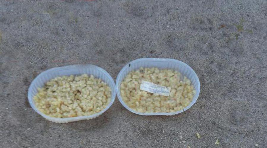 Paseaban por el riacuteo Dulce y se toparon con una ofrenda umbanda