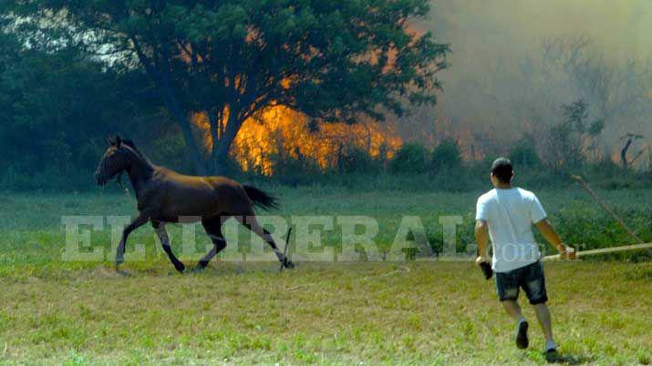 Un incendio se produjo en la zona oeste de Loreto