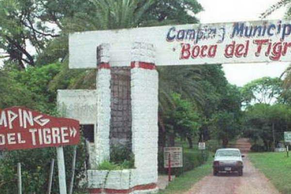 Parques y Paseos coloca plantines en macetas