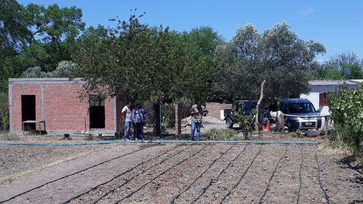 Teacutecnicos Instaron sistema de riego por goteo en predio de una productora de hortalizas