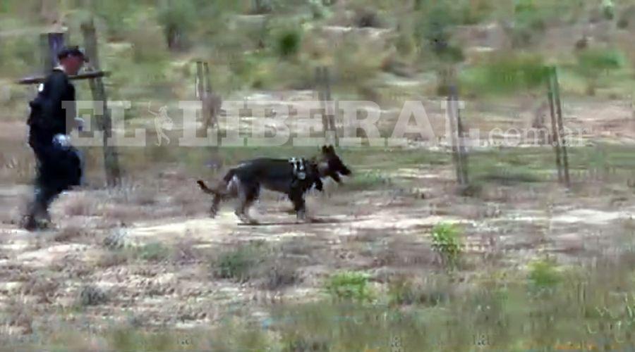 Video Caso Marito- Halcoacuten volvioacute a tener una labor preponderante en la investigacioacuten