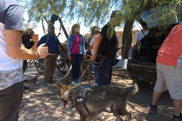 Los canes regresan hoy a Quimiliacute en busca de maacutes evidencias