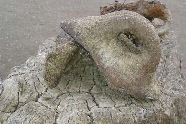 Las ruinas emergidas son de la maacutes antigua civilizacioacuten en Santiago