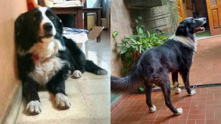 Ofrecen recompensa por la aparicioacuten de Teo