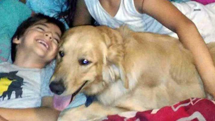 Afortunadamente Nico pudo encontrar a su perro