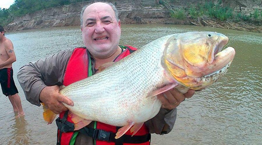 Pesca de increiacuteble dorado (con devolucioacuten) en aguas del riacuteo Dulce