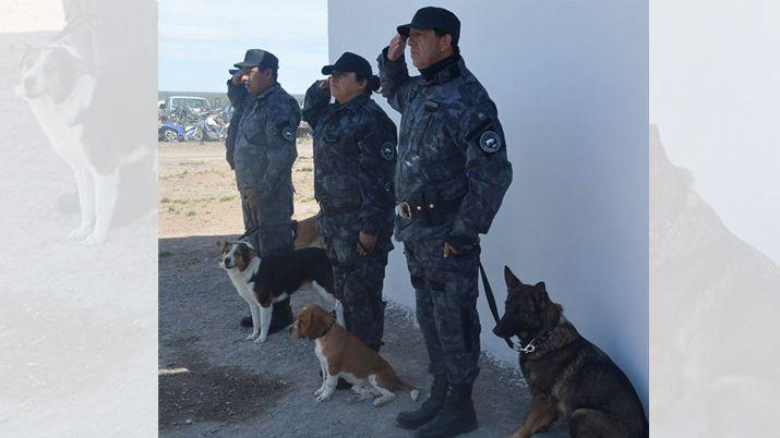 Los canes involucrados en el caso Marito reciben un estricto entrenamiento
