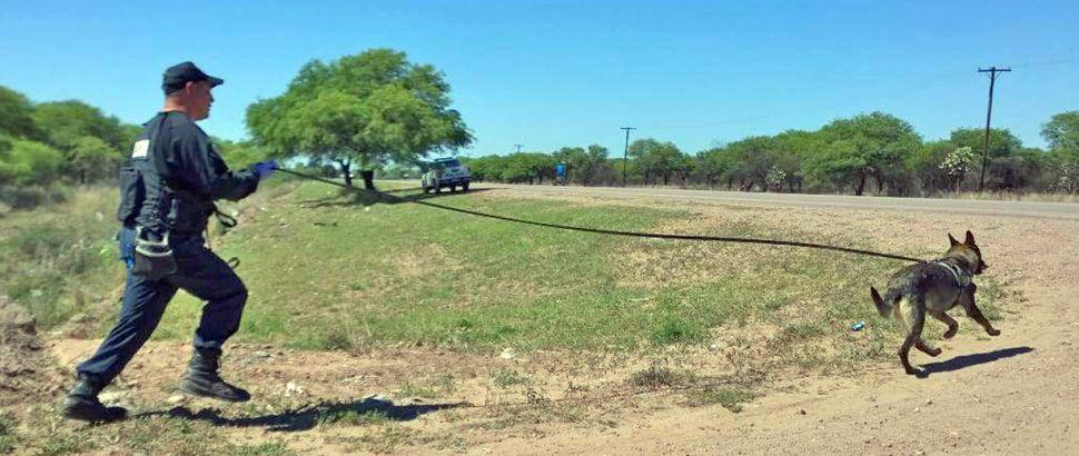 El instructor de Halcoacuten brindoacute detalles del trabajo de los canes