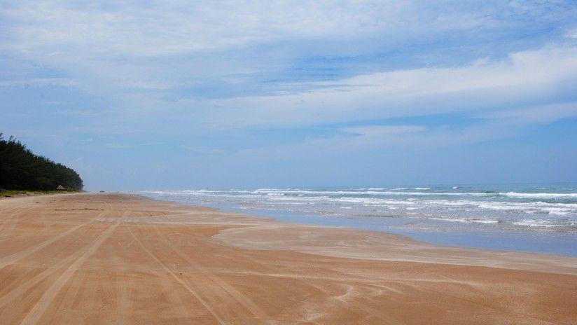 Hallan una misteriosa criatura en una playa de Australia