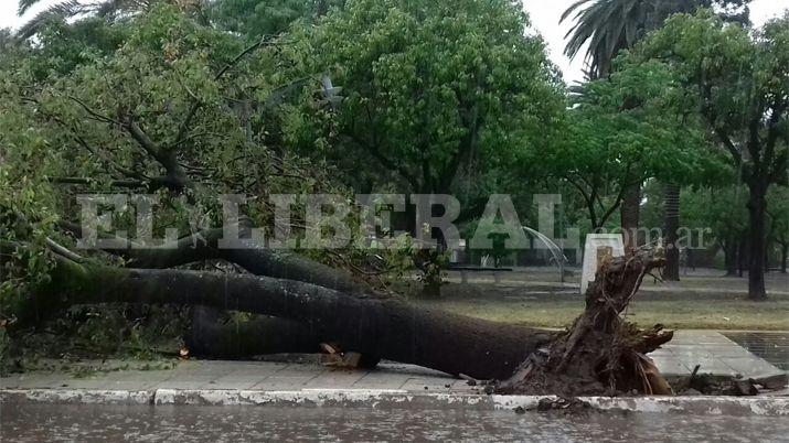 La fuerte tormenta causoacute destrozos en el interior provincial