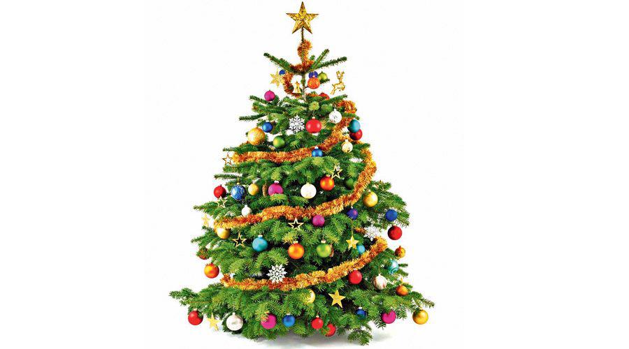 El Aacuterbol de Navidad