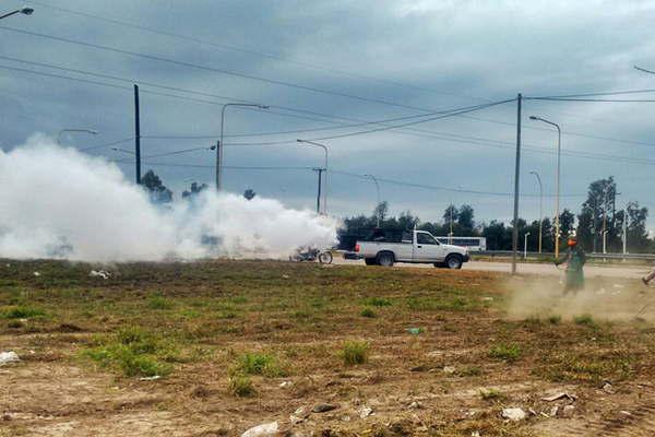 Refuerzan tareas en barrios para evitar proliferacioacuten de alimantildeas