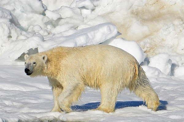 Llegan a Encuentro nuevas producciones 