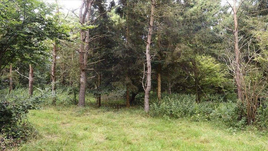 El desafiacuteo viral del Ejeacutercito Britaacutenico es furor en Internet