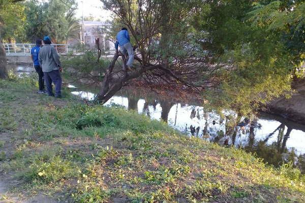 Recuperan el balneario municipal de Clodomira