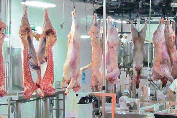 Indican que Santiago podraacute crecer maacutes en produccioacuten y en exportacioacuten de carne a China 