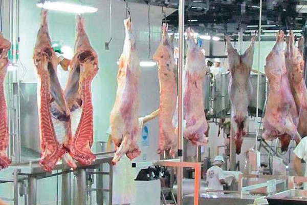 Indican que Santiago podraacute crecer maacutes en produccioacuten y en exportacioacuten de carne a China