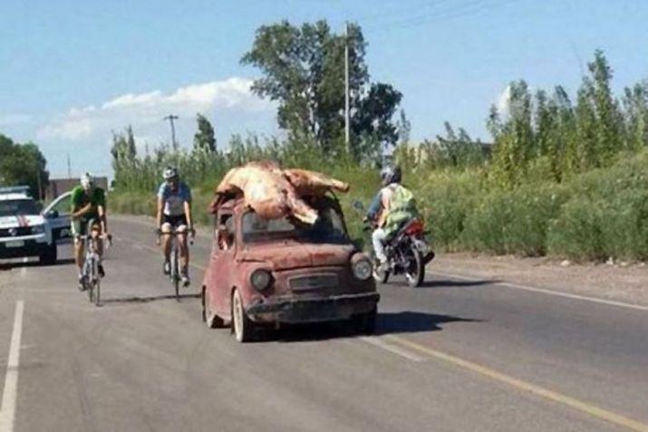 Los pobladores apelaron al ingenio para desaparecer con la carne vacuna del camión accidentado