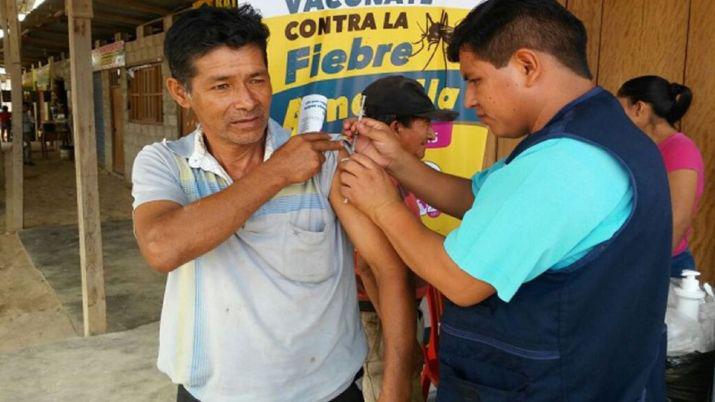 Advierten que la fiebre amarilla puede reintroducirse en Argentina