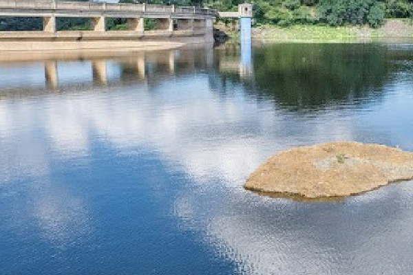 El dique Collagasta un espejo de agua en medio de la vegetacioacuten