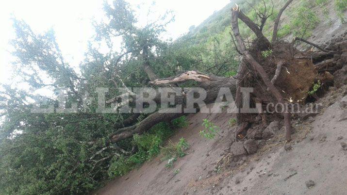 Fuertes r�fagas de viento y lluvia  se registró en la zona rural de Choya