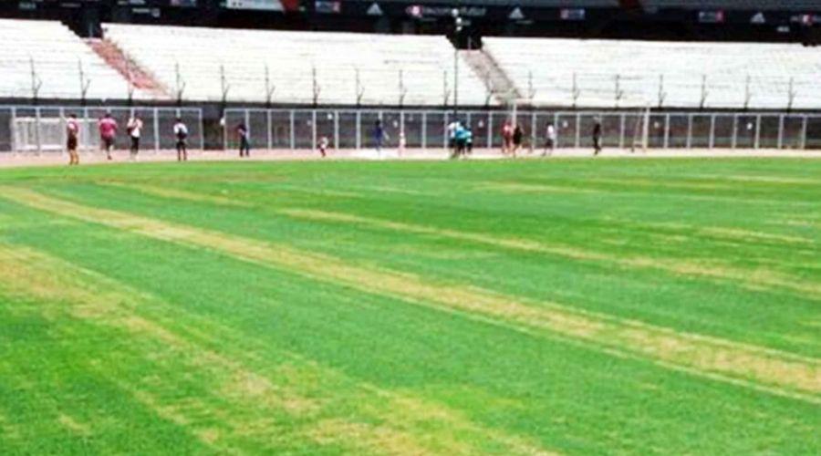 Marcelo Gallardo explota de bronca por el ceacutesped del Monumental
