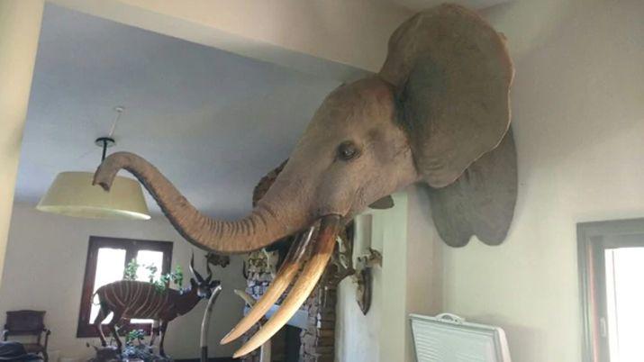 iquestQueacute se encontroacute en Guampacha y Santo Domingo