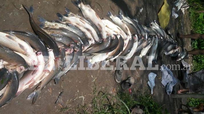 Video- asiacute actuacutean los pescadores furtivos en el Riacuteo Dulce