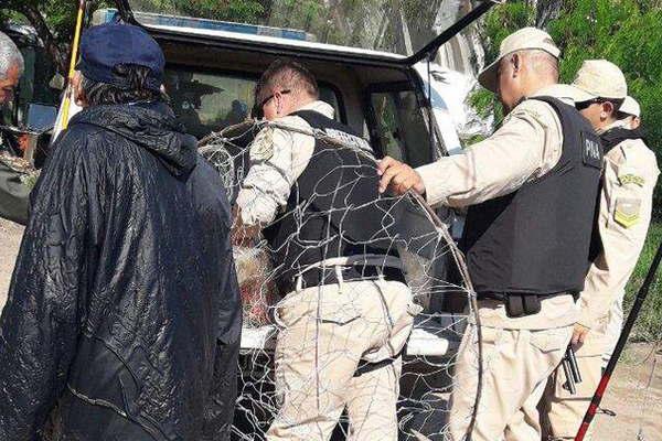 Prefectura y personal de Fauna detectaron pescadores furtivos