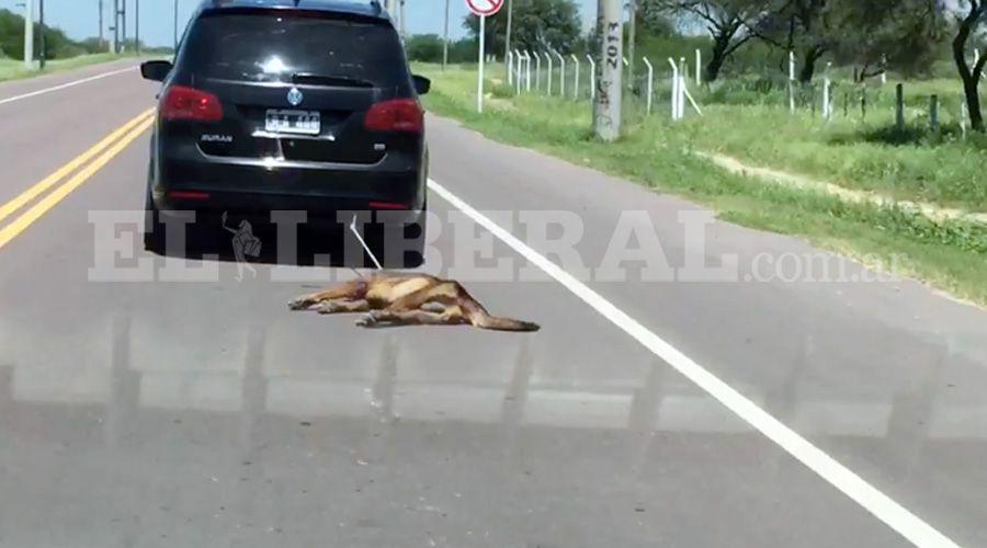 Video  Un hombre arrastroacute a su perro con su auto en Las Termas