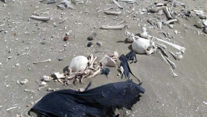 Insoacutelito- turistas hallaron 20 esqueletos humanos en una playa