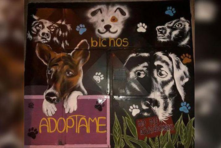 Al menos 200 perros van a quedar sin hogar ante la medida que se dispuso