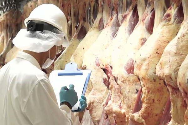 Argentina logroacute un acuerdo histoacuterico para exportar carne a China
