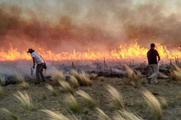 Generan impotencia los incendios en el oeste de La Pampa