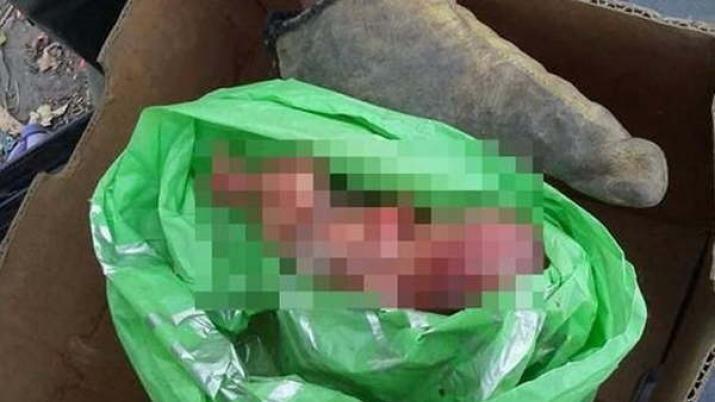 Encontroacute un feto a metros de su casa en Pozo Hondo