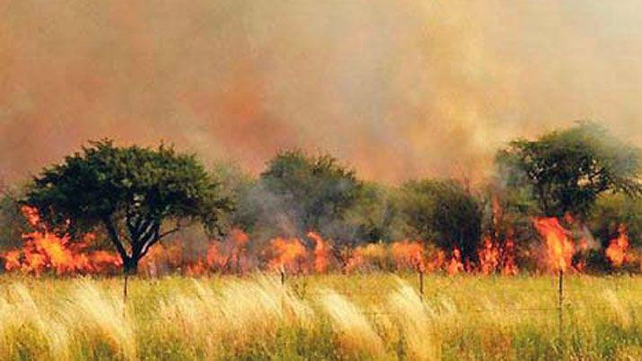 Incendios rurales en La Pampa arrasaron con maacutes de 886 mil hectaacutereas
