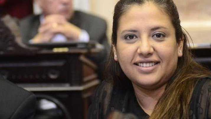 Mariana Morales presentoacute proyecto para declarar de intereacutes a la Primera Escuela Primaria Municipal