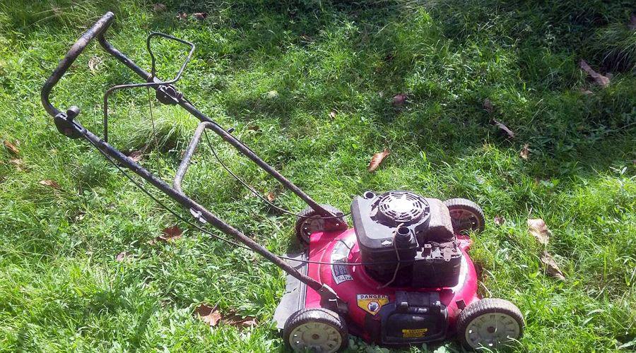 Sentildeora mayor denuncioacute al jardinero por ofrecerle sus servicios sexuales