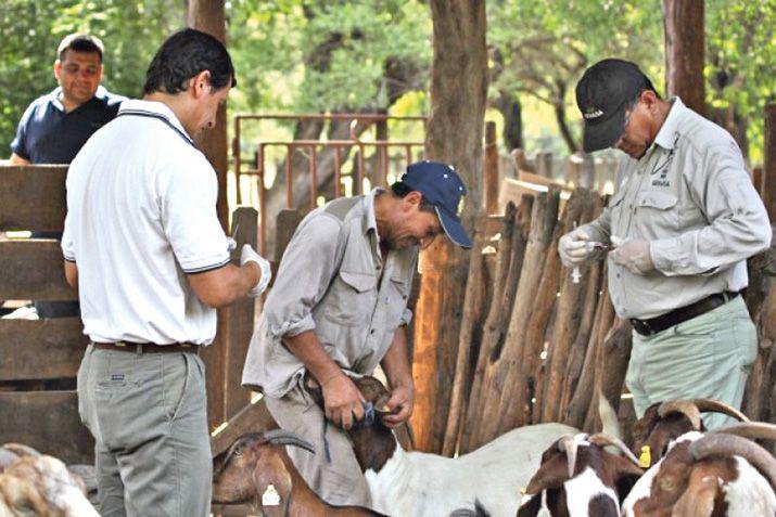 El Senasa y el Inta  fortalecen el trabajo conjunto en la regioacuten NOA