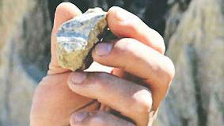 Hallaron en Corrientes restos foacutesiles que datan del Pleistoceno