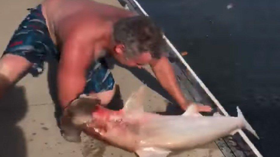 Tiburoacuten devora el brazo de un hombre