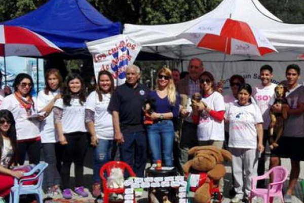 Se realizaraacute una jornada de vacunacioacuten antirraacutebica y desparasitacioacuten masiva 