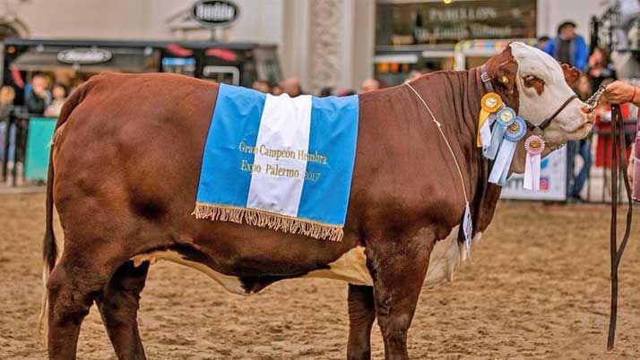 La vaca santiaguentildea que ganoacute en Palermo campeona mundial